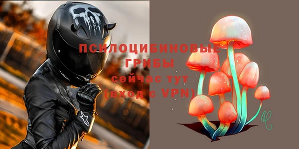 скорость Алзамай